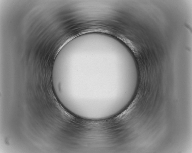 X0000095511369200712140925