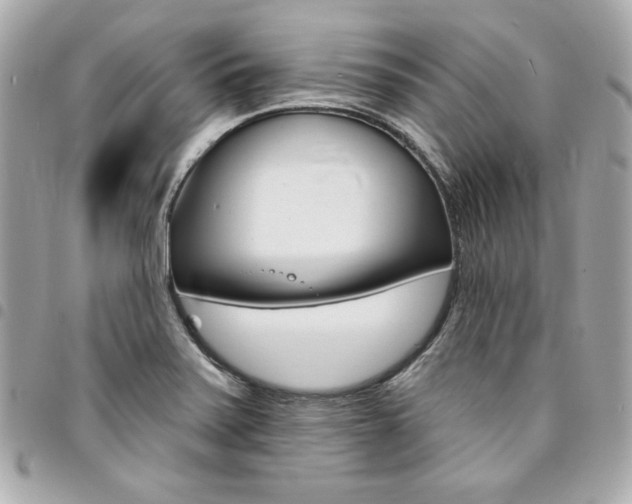 X0000095511371200712140925