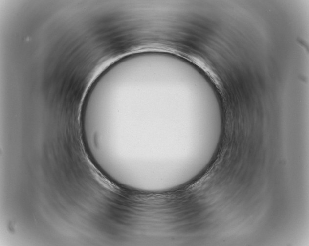 X0000095511372200712140925
