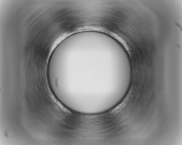 X0000095511373200712140925