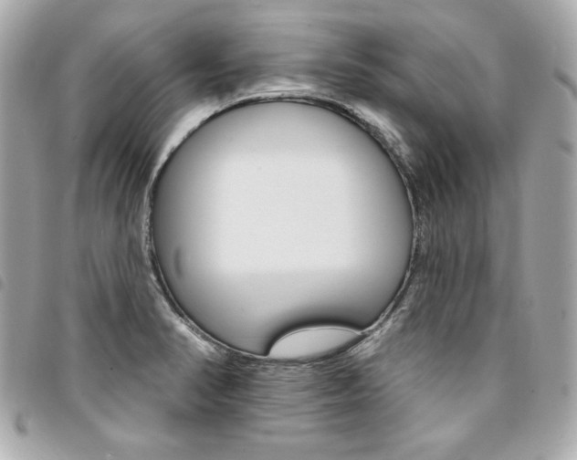 X0000095511374200712140925