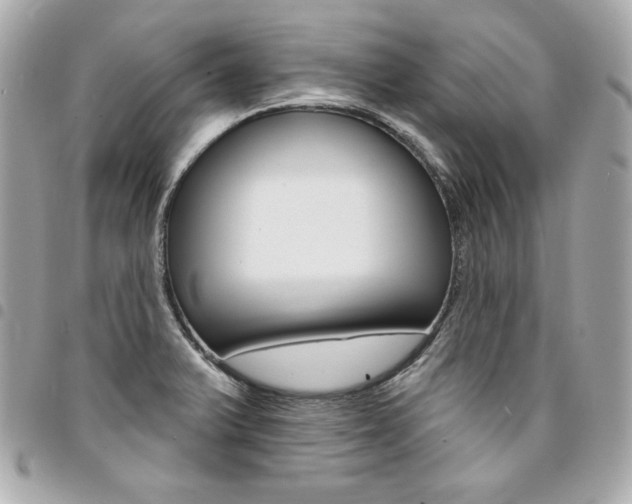 X0000095511375200712140925