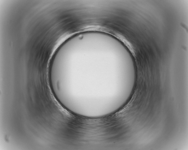 X0000095511376200712140925