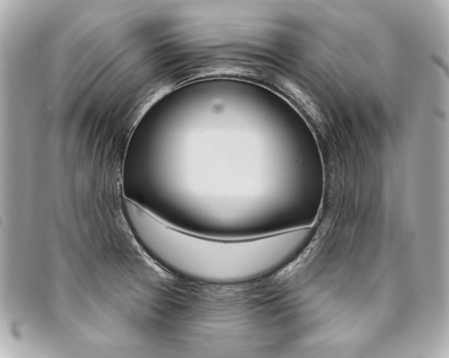 X0000095511377200712140925