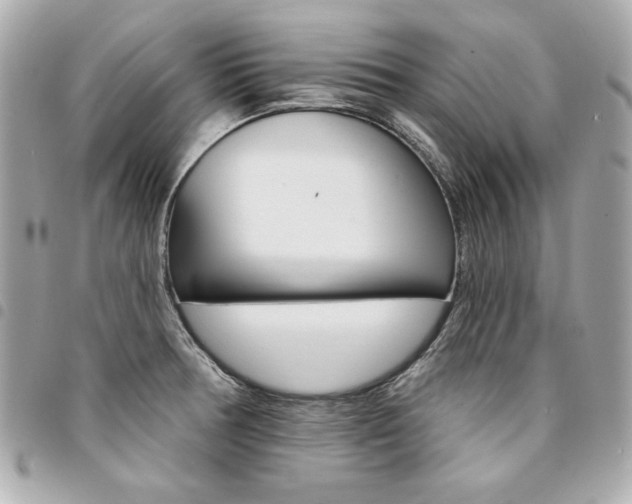 X0000095511378200712140925