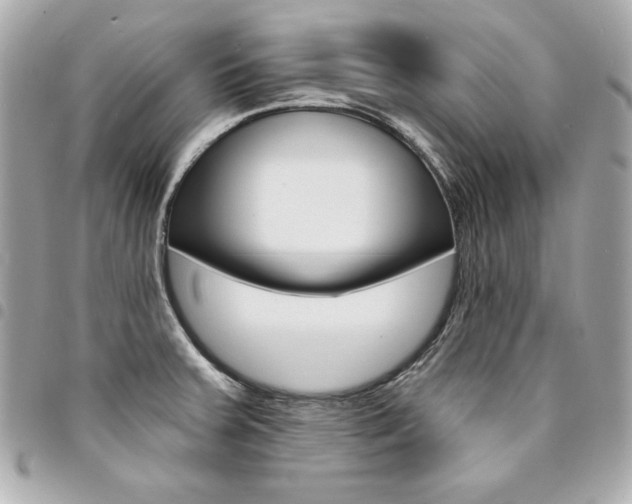 X0000095511379200712140925