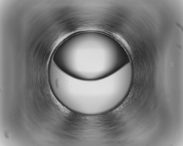 X0000095511380200712140925