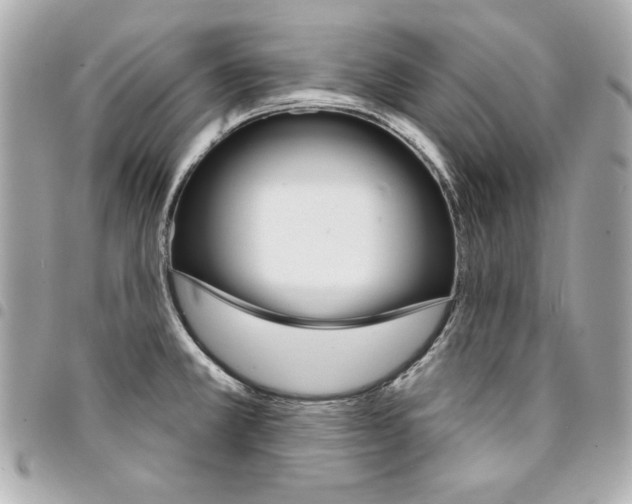 X0000095511381200712140925