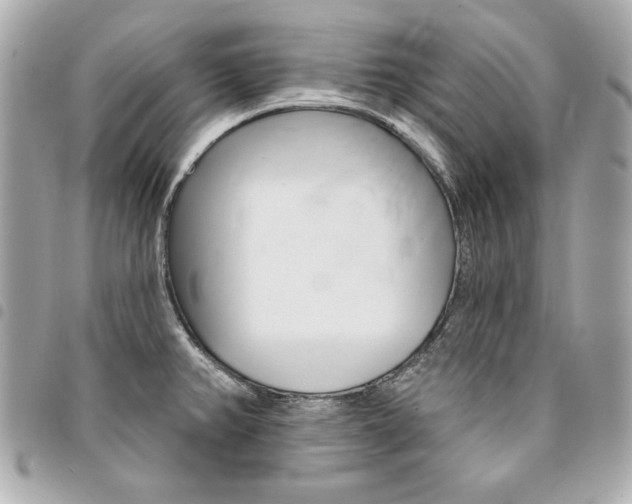 X0000095511382200712140925
