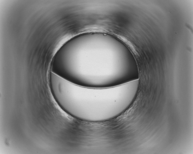 X0000095511383200712140925