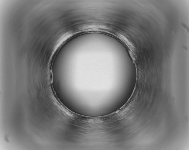 X0000095511384200712140925