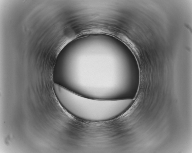 X0000095511385200712140925