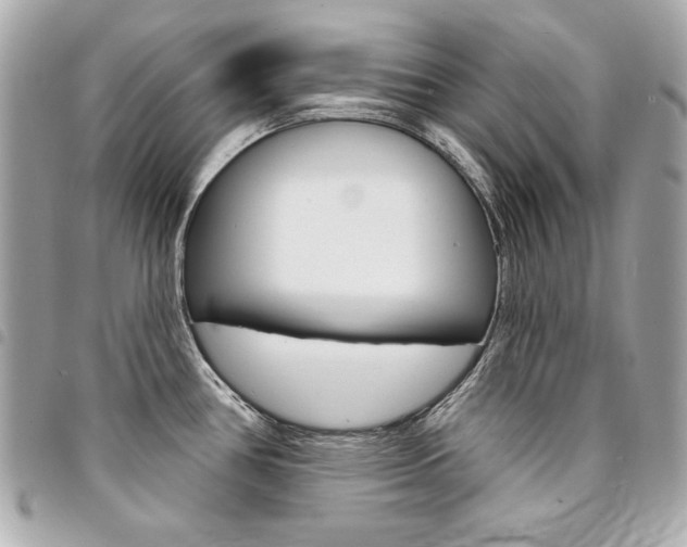 X0000095511386200712140925