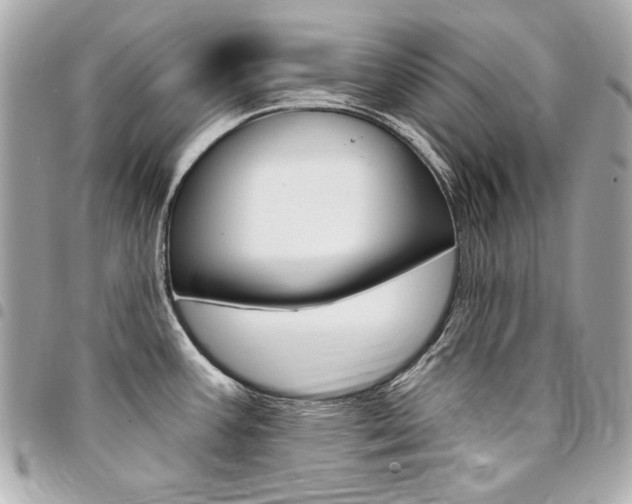 X0000095511387200712140925