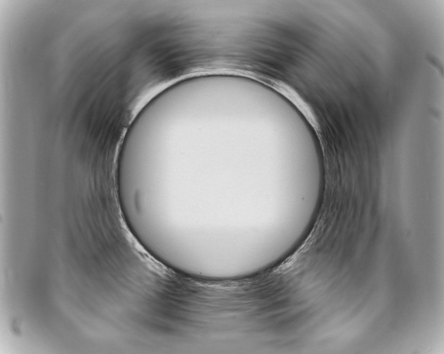 X0000095511388200712140925