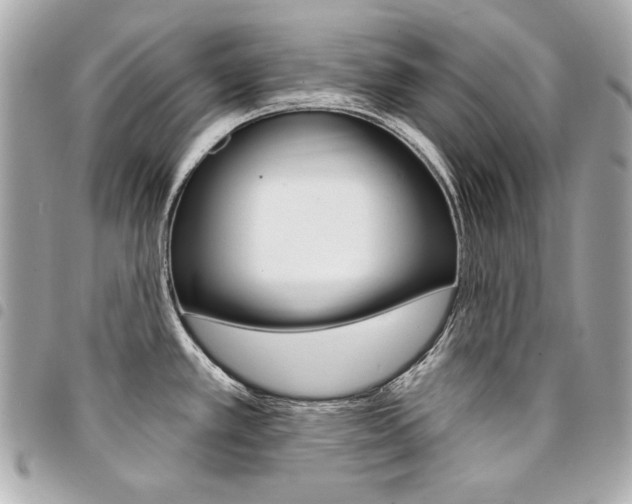 X0000095511389200712140925
