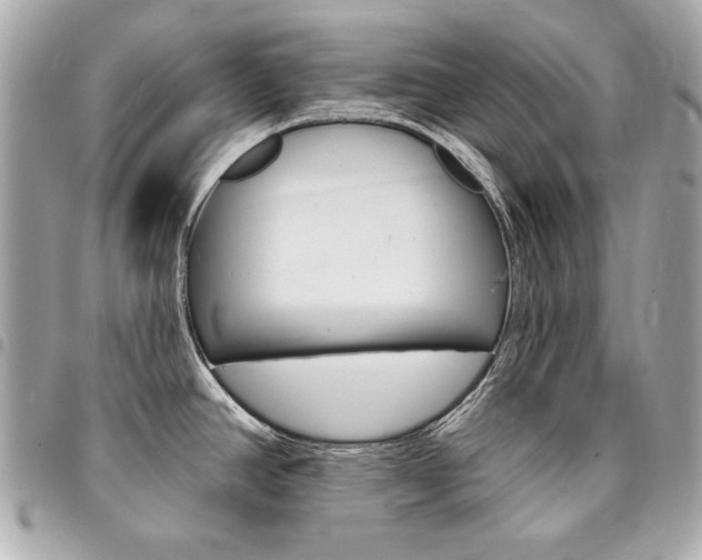 X0000095511390200712140925