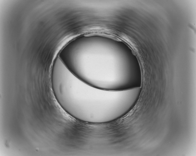 X0000095511392200712140925