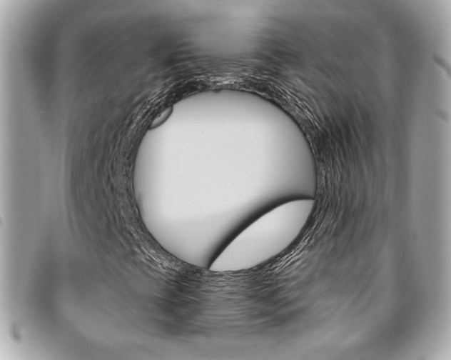 X0000095511393200712140924