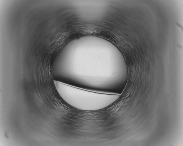 X0000095511394200712140924