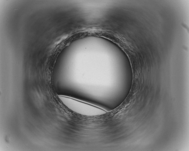 X0000095511398200712140924