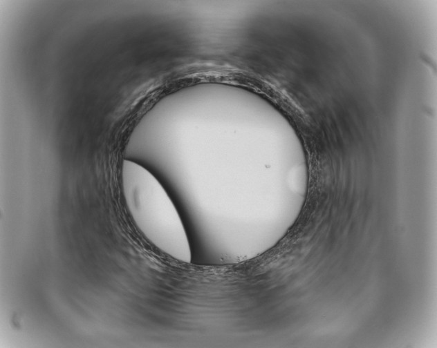 X0000095511399200712140924