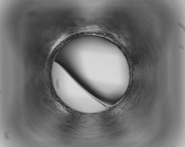 X0000095511400200712140924