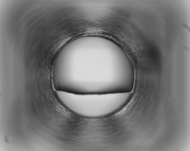 X0000095511401200712140924