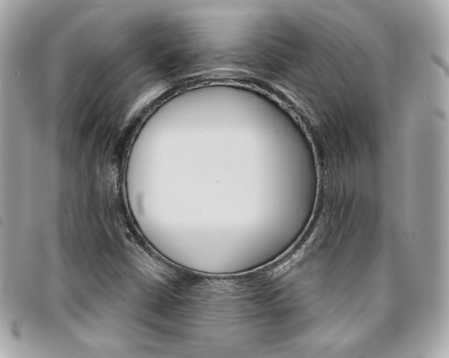 X0000095511402200712140924