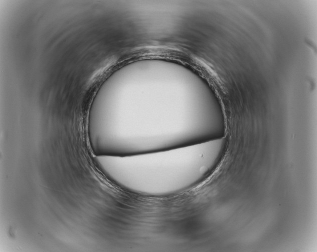 X0000095511403200712140924