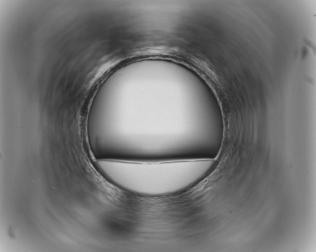 X0000095511404200712140924