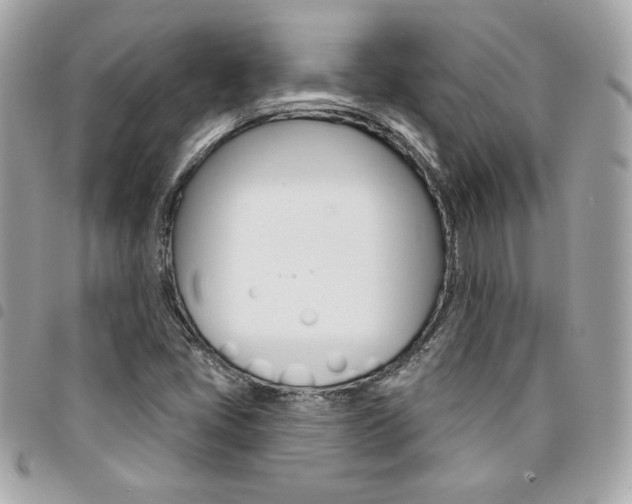 X0000095511405200712140924