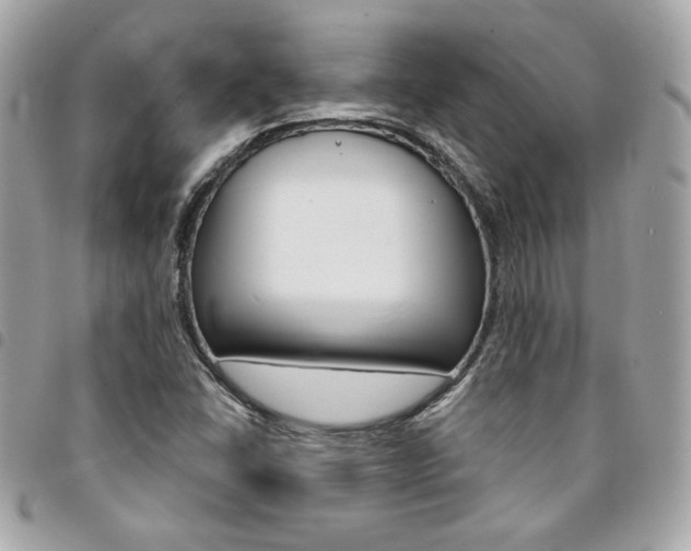 X0000095511406200712140924