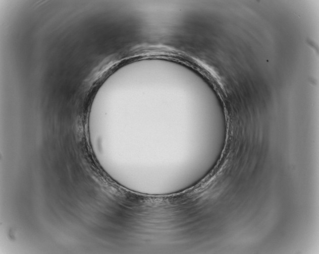 X0000095511407200712140924