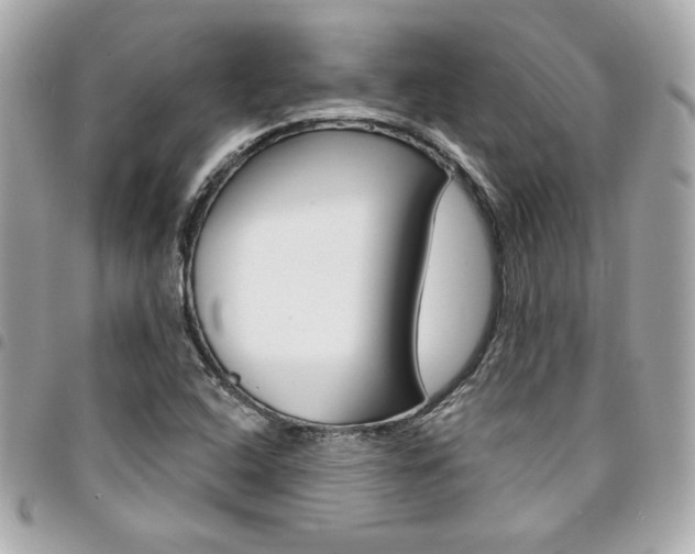 X0000095511408200712140924