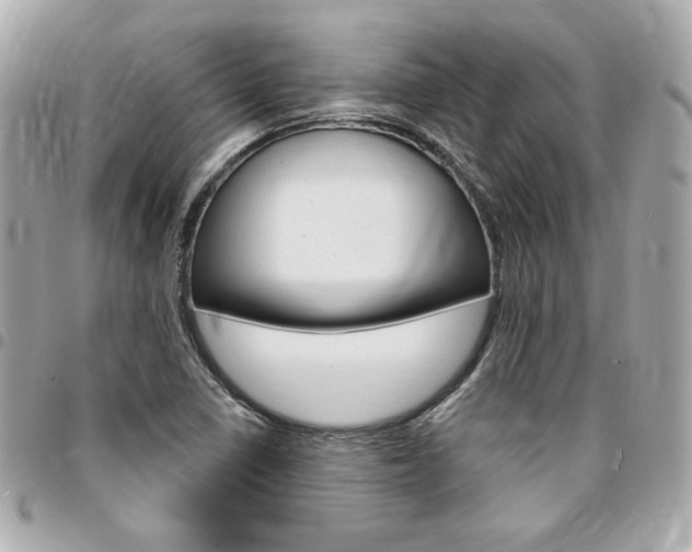 X0000095511410200712140924
