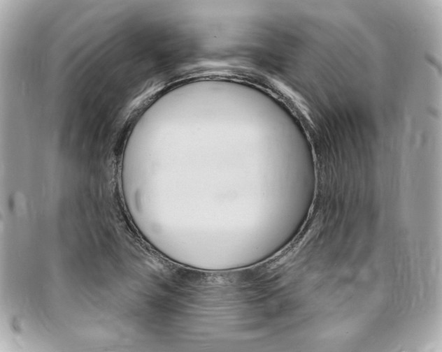 X0000095511411200712140924