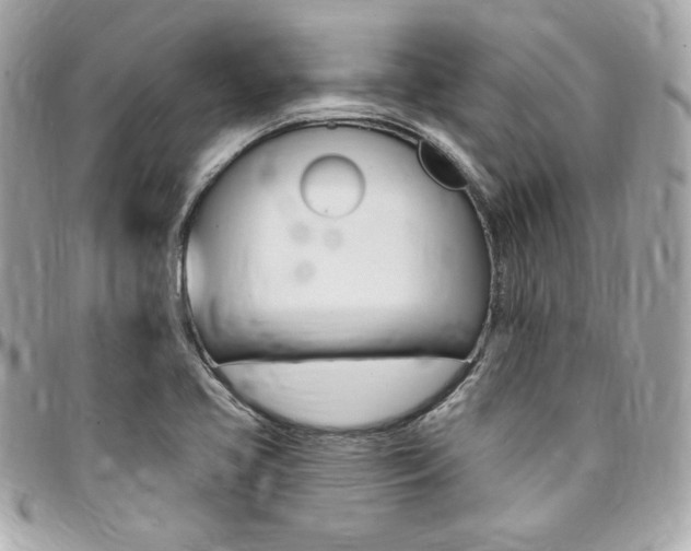 X0000095511413200712140924