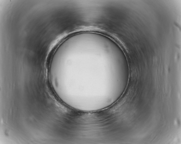X0000095511414200712140924