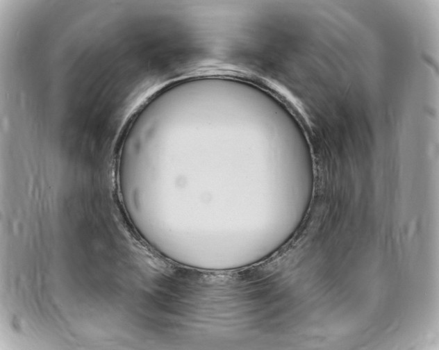 X0000095511415200712140924