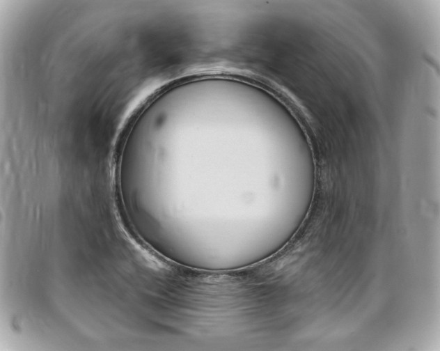 X0000095511416200712140924
