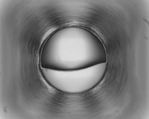 X0000095511418200712140924