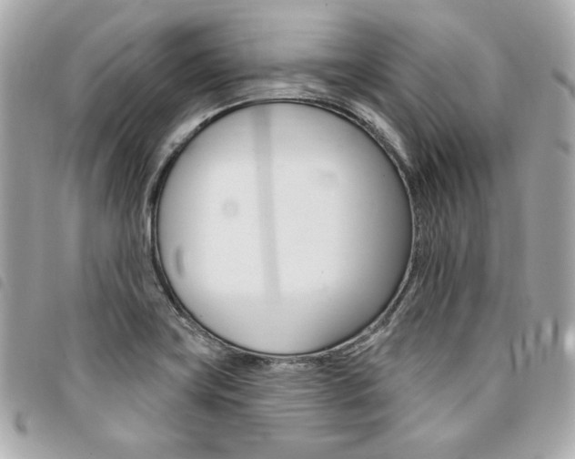 X0000095511419200712140924
