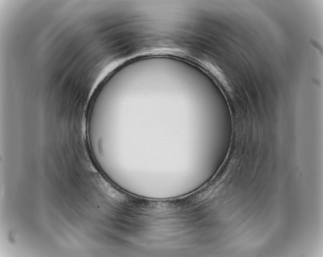 X0000095511420200712140924