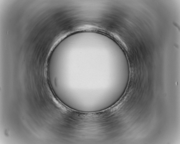 X0000095511421200712140924