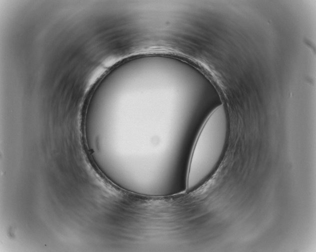 X0000095511422200712140924