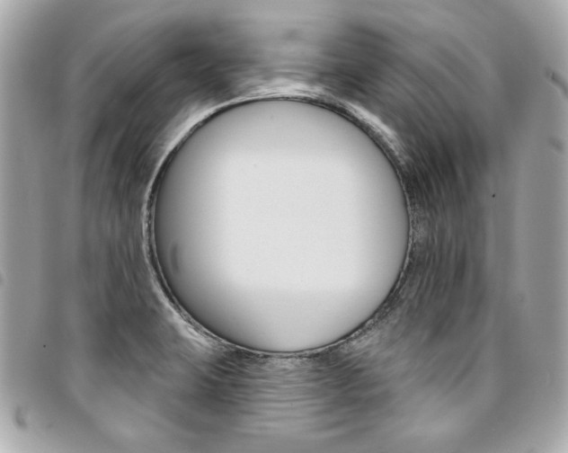 X0000095511423200712140924