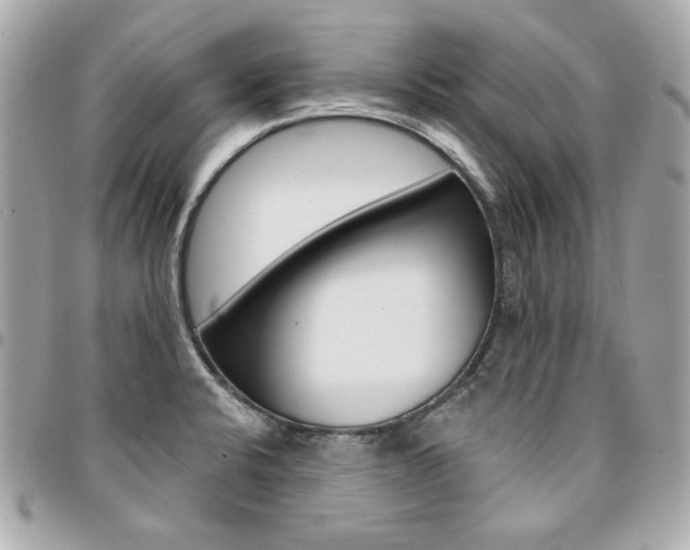 X0000095511424200712140924