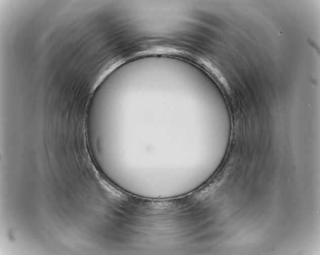 X0000095511425200712140925