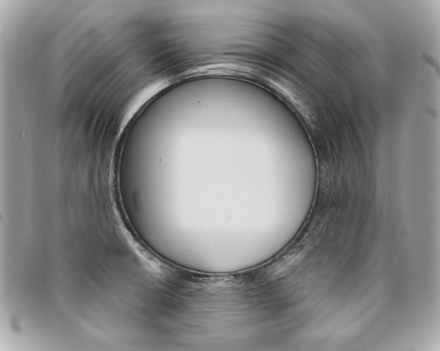 X0000095511426200712140925